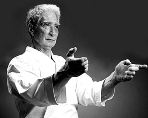 karate hidetaka nishiyama