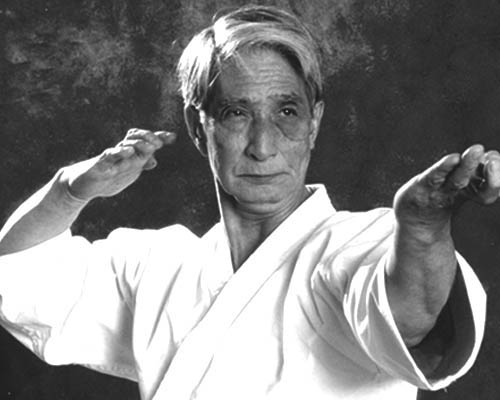 hidetaka nishiyama karate