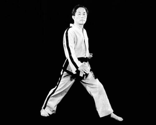 taekwondo choi