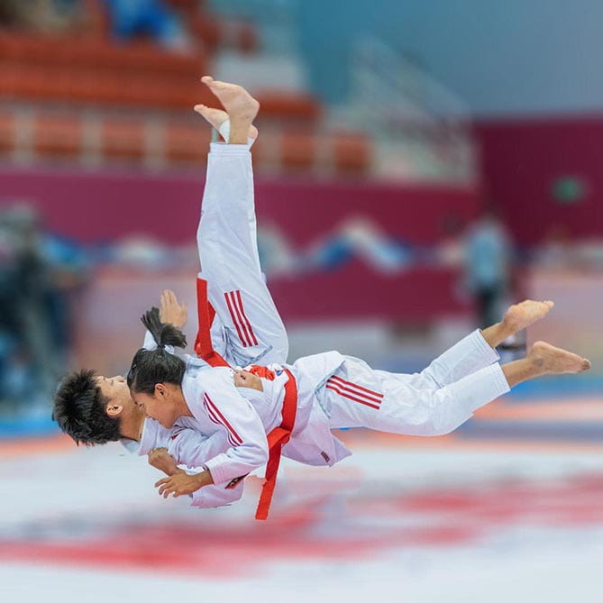 jujitsu Bruxelles