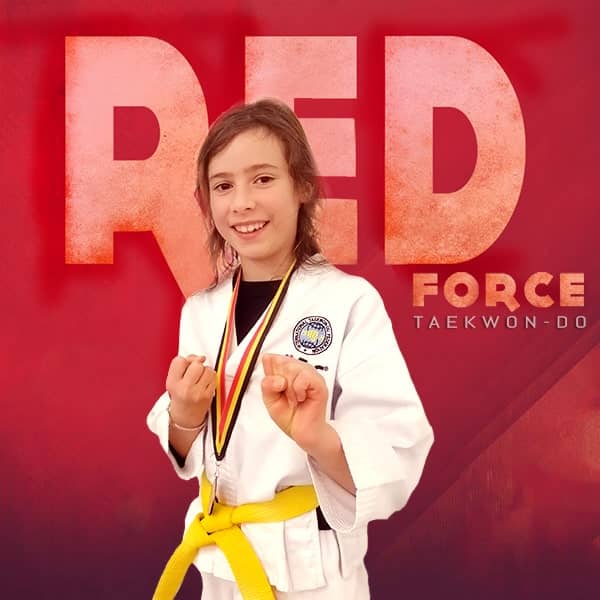taekwondo fighter