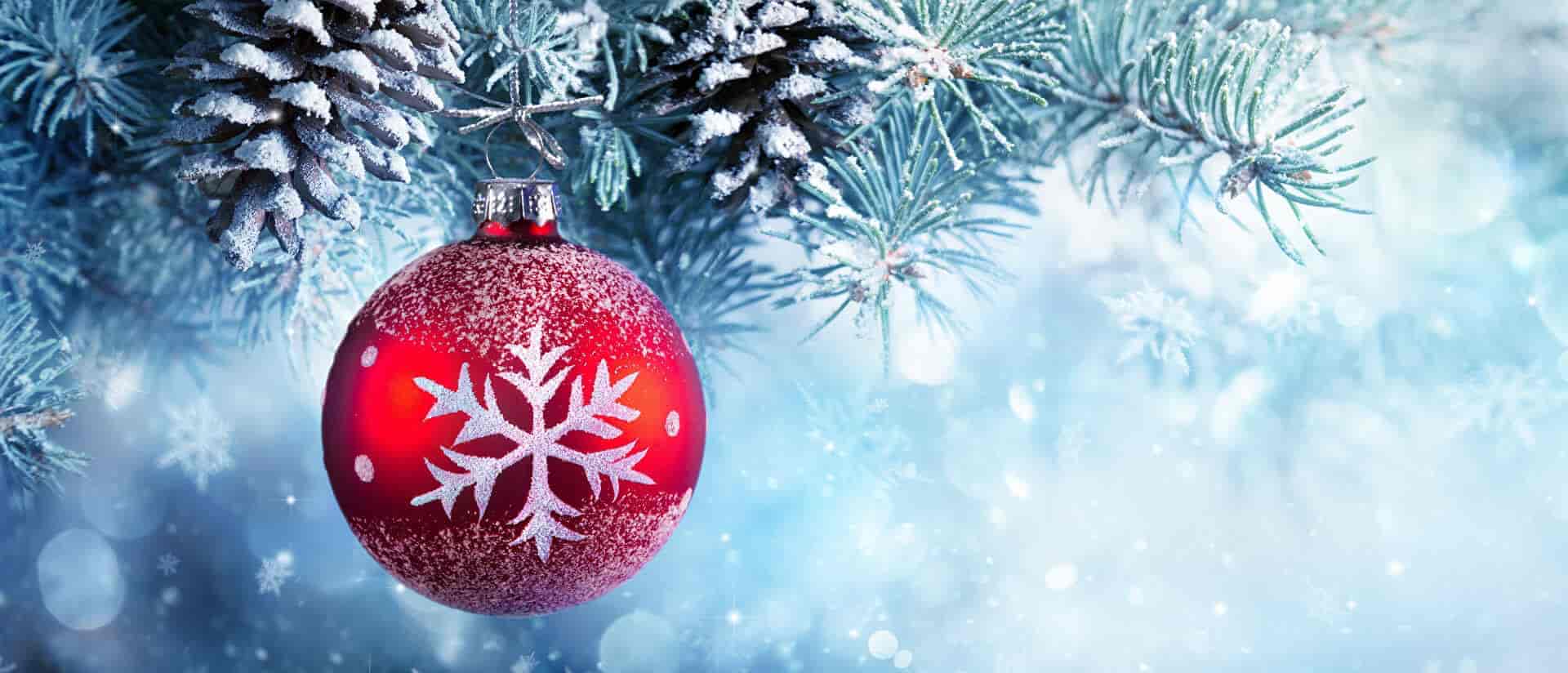 arts martiaux Bruxelles karaté ju jitsu taekwondo self-défense kickboxing yoga Brussels