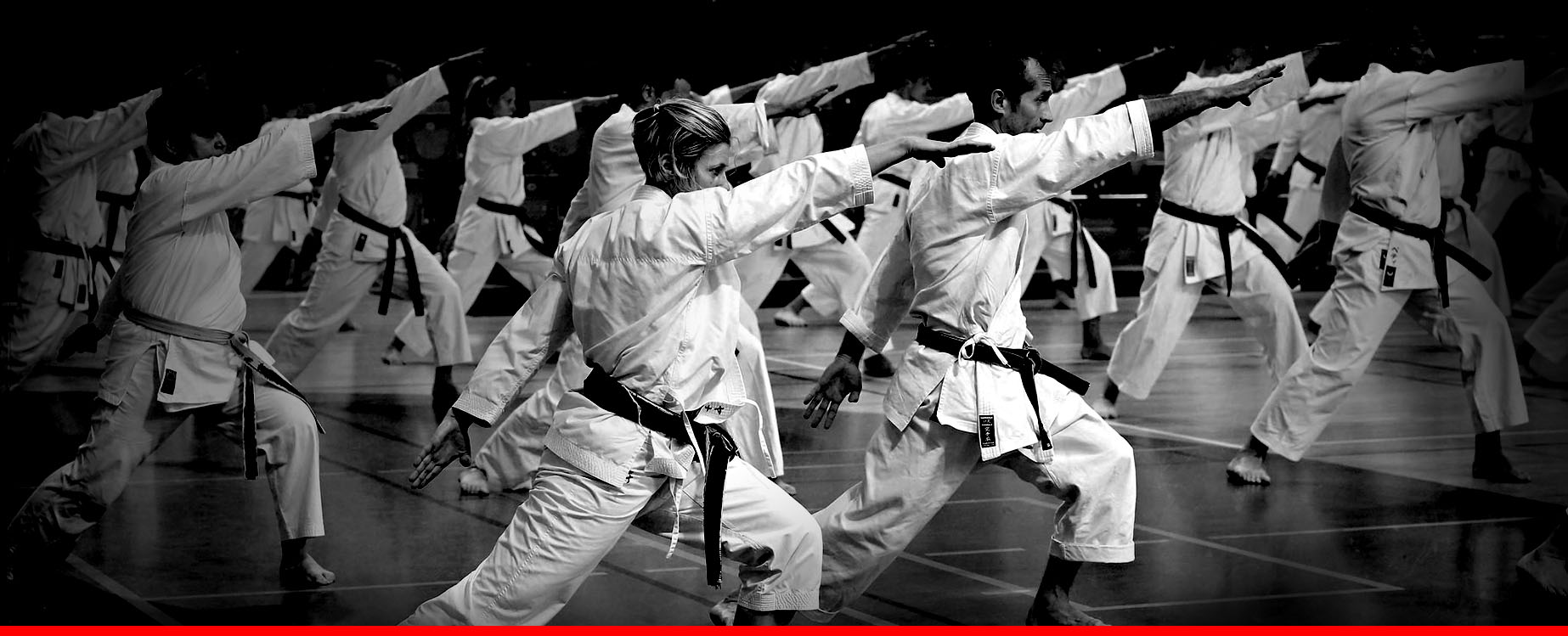 cours taekwondo adultes Bruxelles